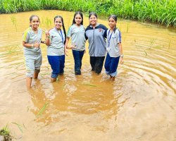 Std VIII Field trip to Forganic farm Khopoli